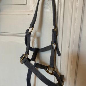2 Veulenhalsters